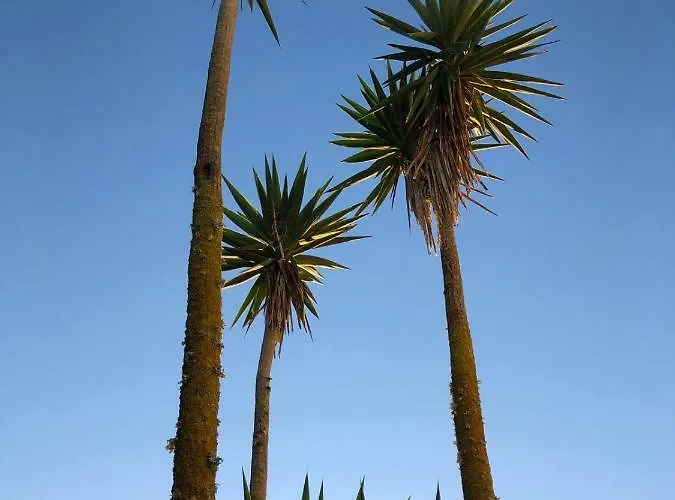 Вилла Casa Tazmin Santo Isidoro